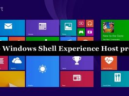 Windows Shell Experience Host process using too much Memory / CPU