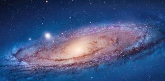 Best Horoscope Apps to Look into Future